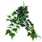 Kit 9 Trepadeiras De Folhagens Hera Artificiais Decoração Sus