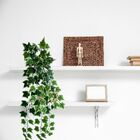 Kit 9 Trepadeiras De Folhagens Hera Artificiais Decoração Sus