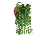 Kit 9 Trepadeiras De Folhagens Jiboia Artificiais Decoração S