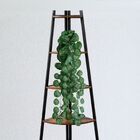 Kit  9 Trepadeiras De Folhagens Begônia Artificiais Decoração