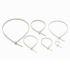 Kit Abraçadeira De Nylon Incolor 2,5x200mm 2000 Unidades