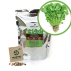 Kit - Agrião Da Aguá - Folha Larga