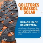 Kit Aquecedor Solar Piscina Girassol 48.000 L + Bomba + Capa