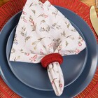 Kit Argola de Guardanapo Plástico Blood 3,5x5,5cm 4 Peças Copa & Cia