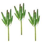 Kit Arranjo De 3 Suculenta Cacto Artificial Verde Decorativo