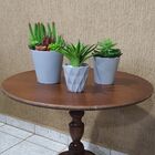 Kit Arranjo De Cacto E Suculenta Com Vaso Cimento Decorativo