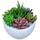 Kit Arranjo De Suculentas Artificiais Com Vaso P/ Decoração
