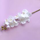 Kit Atacado 9 Orquídeas Artificiais Brancas Aveludadas Grande