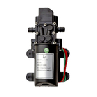 Kit Bomba Dágua Solar 12v Painel Placa 60w + Controlador Rese