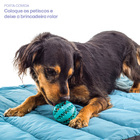 Kit Brinquedo Pet Madog Mar: 1 Bola E 1 Pelúcia Casco Bovino