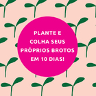 Kit Brotos Yes, We Grow + 2 Refis ( Mostarda E Agrião )