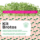 Kit Brotos Yes, We Grow + 2 Refis ( Repolho Roxo E Beterraba )