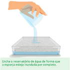 Kit Brotos Yes, We Grow + 2 Refis ( Repolho Roxo E Beterraba )