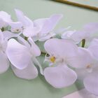 Kit C/6 Orquideas Branca Aveludada Pequena X 8 (2dz/box) (12d