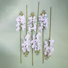 Kit C/6 Orquideas Branca Aveludada Pequena X 8 (2dz/box) (12d