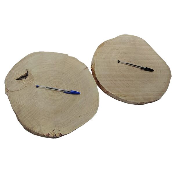 Kit C/ 2 Bolachas De Madeira Tronco Arte E Decor 32 X 30cm