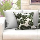 Kit Capa De Almofada Grande Branca E Costela De Adão 6 Unidad