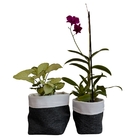 Kit Cesto Cachepot Prático Preto Chumbo