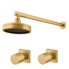 Kit Chuveiro Mix Plus E 2 Acabamentos Elo Gold Fani