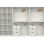 Kit Closet Armário Colmeia Cabideiro M21