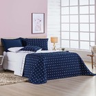 Kit Cobre Leito Celine Casal Queen Dupla Face Micropercal 200