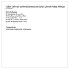 Kit Cobre Leito Safari Casal Queen Cetim 9 Peças Palha