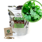 Kit - Coentro Verdão