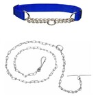 Kit Coleira Corrente Metal Cachorro Caes Semi Enforcador Guia