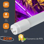 Kit com 10 Lâmpadas Tubulares LED T8 20W 120cm – Cor Vermelho