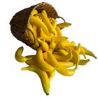 Kit Com 20 Bananas Decorativas 20x4cm Toque Natural Em Festas