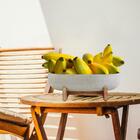 Kit Com 20 Bananas Decorativas 20x4cm Toque Natural Em Festas