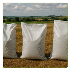 Kit Com 20 Un Saco Convencional Costurado Boca Aberta Branco