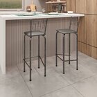 Kit Com 2 Banquetas Tubular Iza 36cm X 41cm Preto/  Prata
