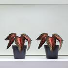 Kit Com 2 Buquês De Singônio Artificial Verde Realista E Dura