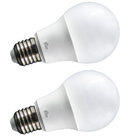 Kit Com 2 Lâmpadas Led Globe A-60 6,0w E-27 6.5k Bivolt Kian