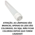 Kit com 2 Lâmpadas Tubulares LED T8 20W 120cm – Cor Verde