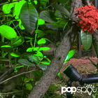 Kit com 2 - Luminária Solar Espeto de Jardim LED SMD Verde 10