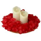 Kit Com 2 Pacotes De Pétalas Artificiais – Ideal Para Casamen