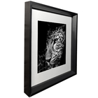 Kit com 2 Quadros Decorativos Animal 30x30cm cada