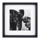 Kit com 2 Quadros Decorativos Animal 30x30cm cada