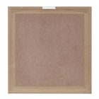 Kit com 2 Quadros Decorativos Animal 30x30cm cada