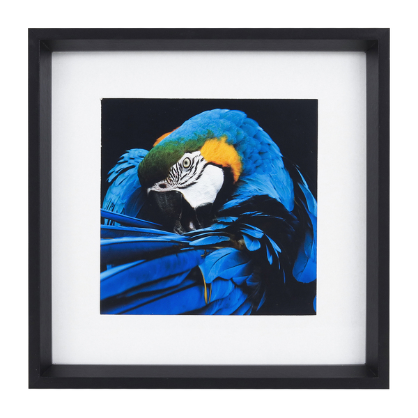 Kit com 2 Quadros Decorativos Animal 30x30cm cada