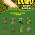 Kit Com 2 Und Gramix 100ml Seu Gramado Sempre Limpinho