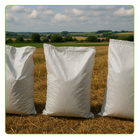 Kit Com 300 Un Saco Laminado Costurado Boca Aberta Branco 60x