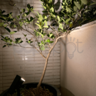 Kit Com 3 Luminária Spot Solar Espeto De Jardim Potente 12h R