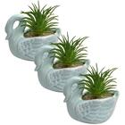 Kit Com 3 Mini Vasos Formato De Cisne C/ Plantas Artificiais