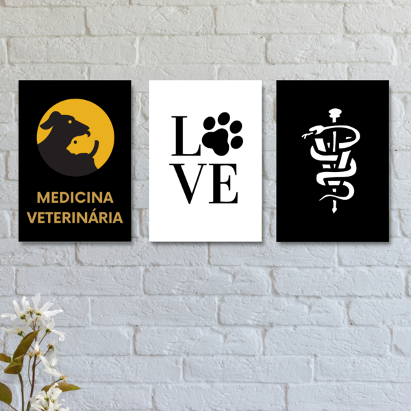 Kit Com 3 Placas Decorativas Medicina Veterinária