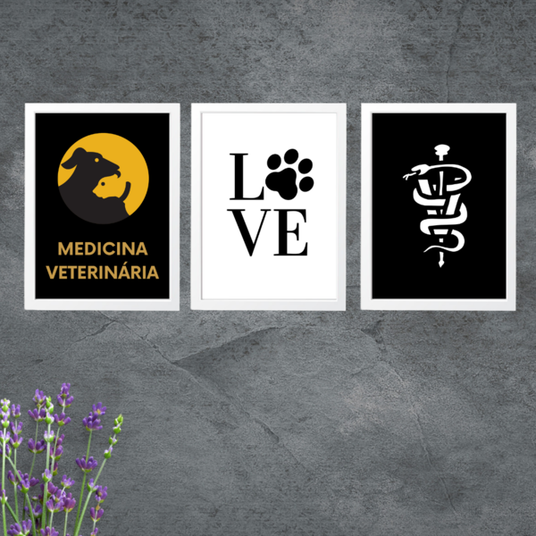 Kit Com 3 Quadros Decorativos Medicina Veterinária