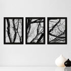 Kit Com 3 Quadros - Troncos Árvores Paisagem - 085kq02p