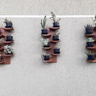 Kit Com 3 Suportes De Parede Para Suculentas Ou Mini Cactus M